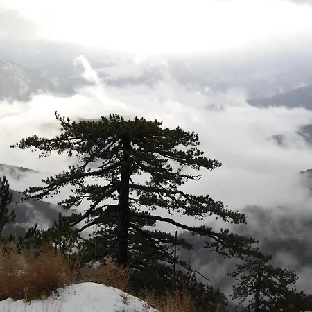 Panorama Kakopleyri Kalabakas Affittacamere