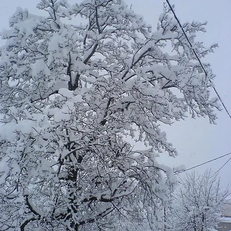 Panorama Kakopleyri Kalabakas Pensjonat 4*