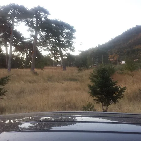 Panorama Kakopleyri Kalabakas 4*