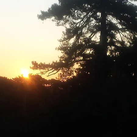 Panorama Kakopleyri Kalabakas
