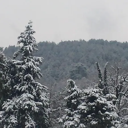 Affittacamere Panorama Kakopleyri Kalabakas