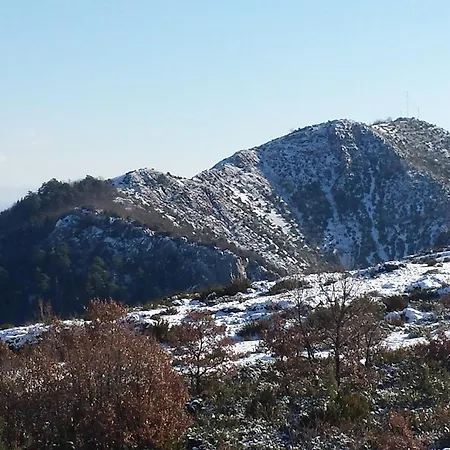Panorama Kakopleyri Kalabakas 4*