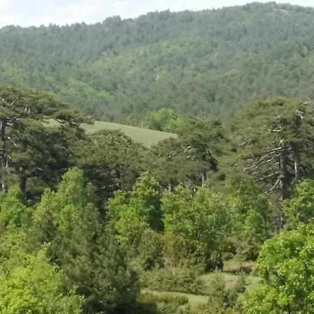 Pensjonat Panorama Kakopleyri Kalabakas 4*