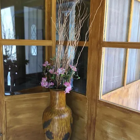 Panorama Kakopleyri Kalabakas