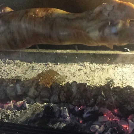 Panorama Kakopleyri Kalabakas