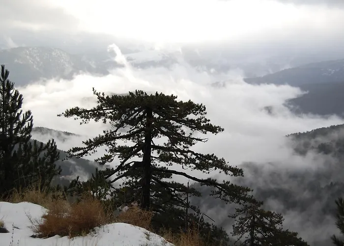 Panorama Kakopleyri Kalabakas Vendégház