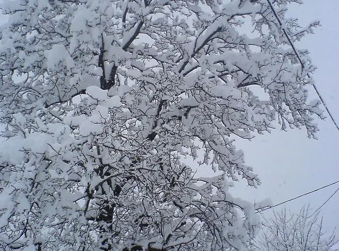 Panorama Kakopleyri Kalabakas Guest house 4*