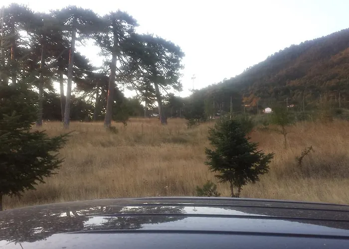 Panorama Kakopleyri Kalabakas 4*