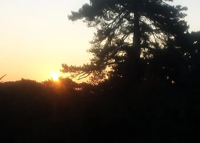 Panorama Kakopleyri Kalabakas