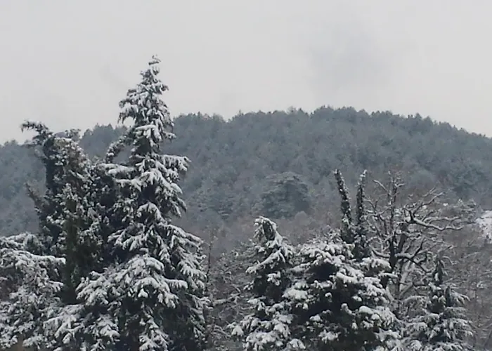 Guest house Panorama Kakopleyri Kalabakas