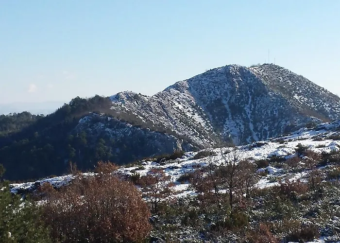 Panorama Kakopleyri Kalabakas 4*