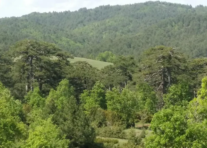 Guest house Panorama Kakopleyri Kalabakas 4*