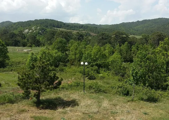 Panorama Kakopleyri Kalabakas 4*