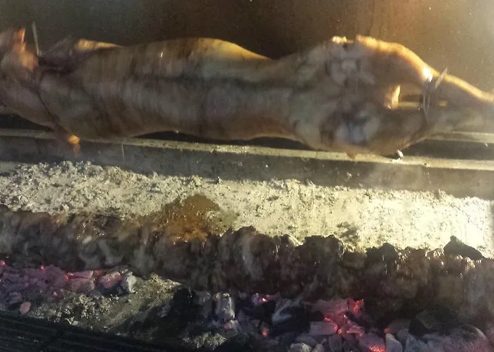 Panorama Kakopleyri Kalabakas 4*