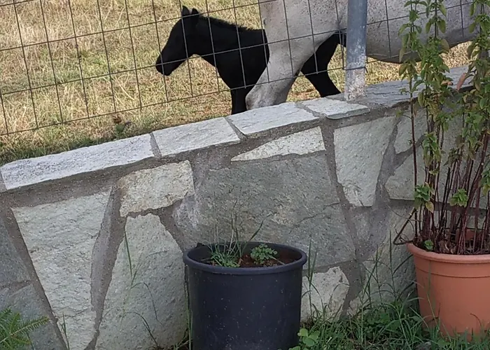 Panorama Kakopleyri Kalabakas Guest house Kakoplevri